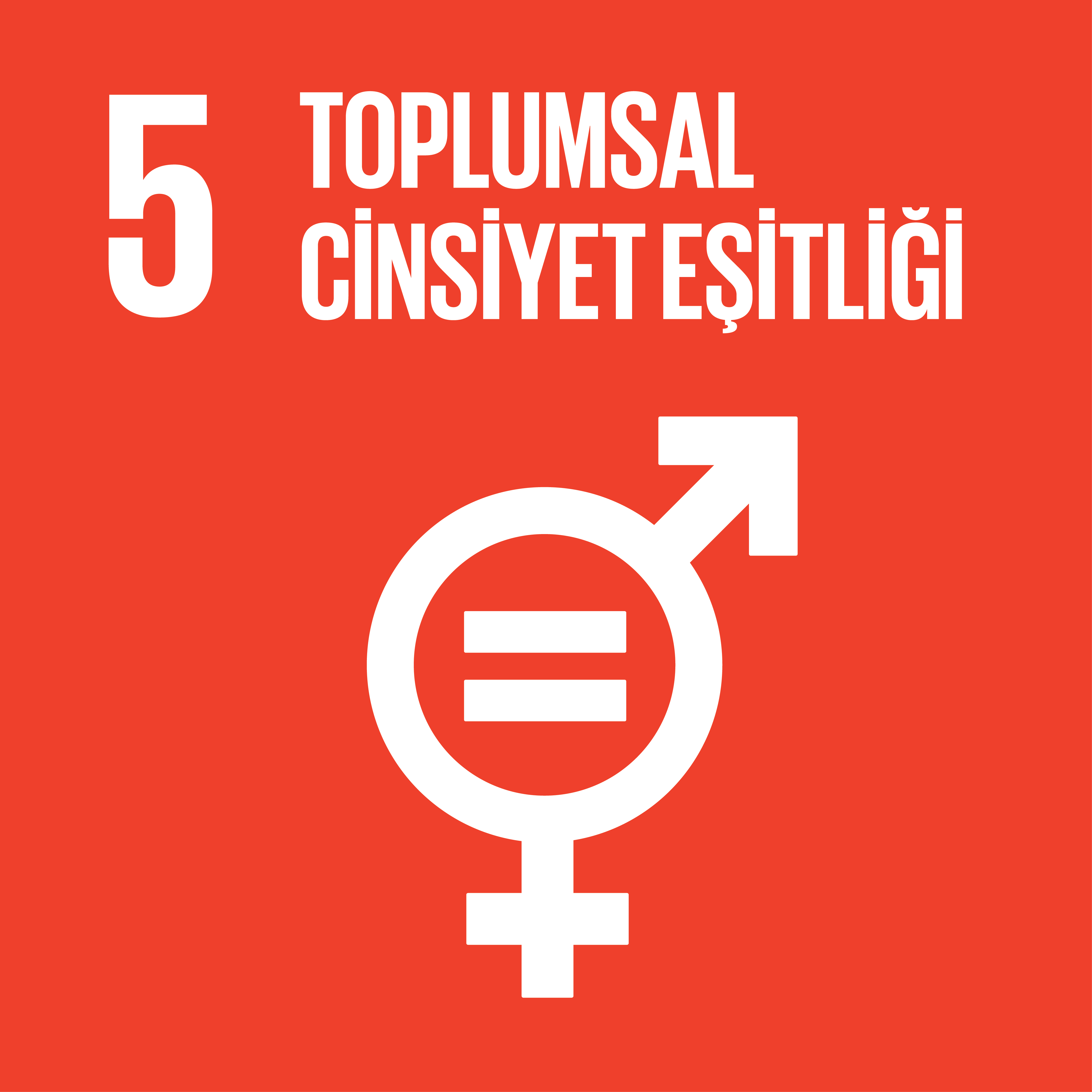 Toplumsal Cinsiyet Eşitliği Toplumsal Cinsiyet Eşitliği