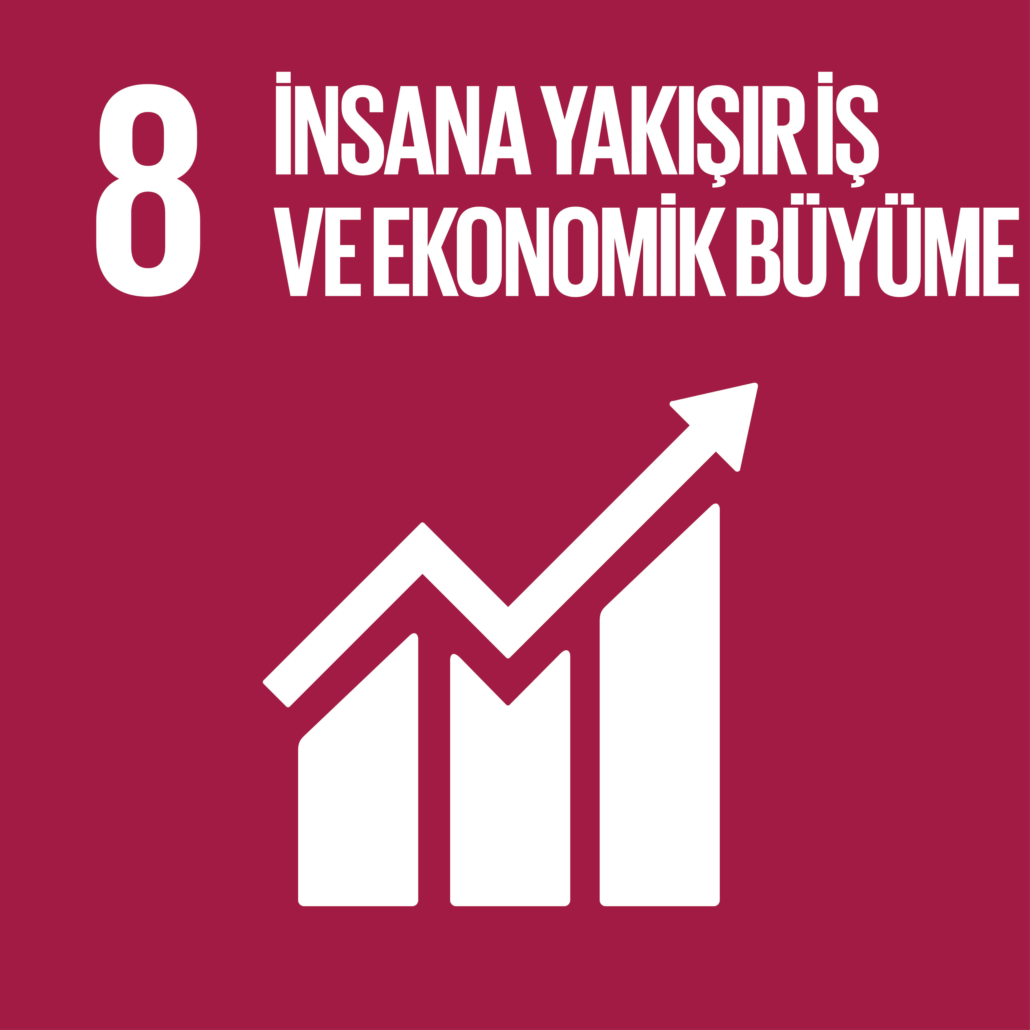 İnsana Yakışır İş ve Ekonomik Büyüme İnsana Yakışır İş ve Ekonomik Büyüme